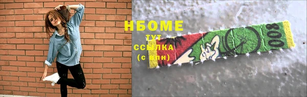 гашик Краснослободск