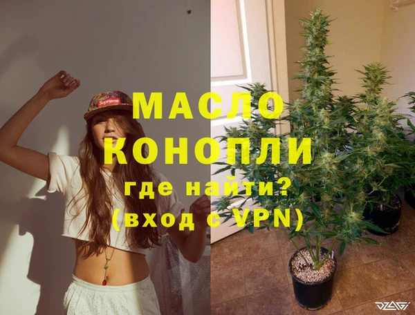 гашик Краснослободск