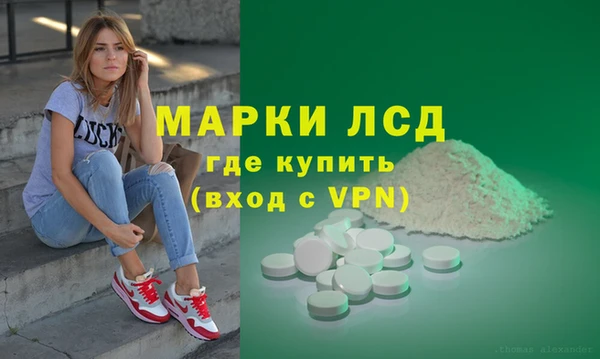 гашик Краснослободск
