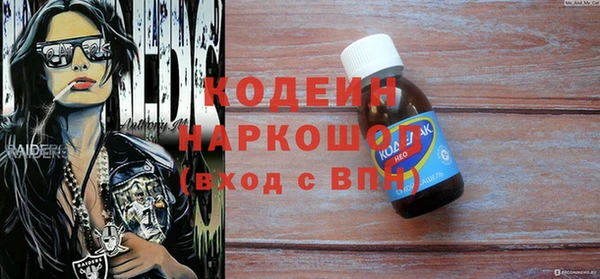 гашик Краснослободск