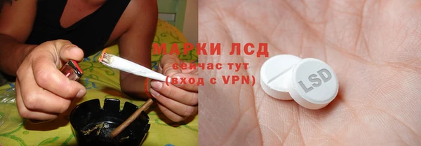 гашик Краснослободск