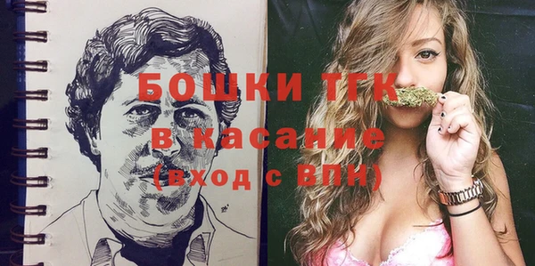 гашик Краснослободск