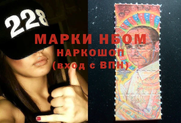 гашик Краснослободск
