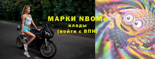 гашик Краснослободск