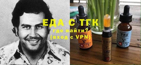 гашик Краснослободск