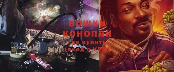 гашик Краснослободск