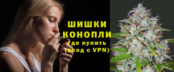 гашик Краснослободск