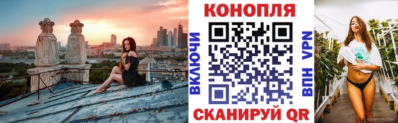 Конопля OG Kush хочу Смоленск